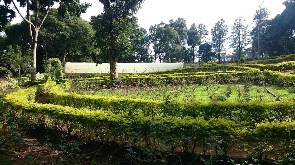 Botanical Garden in Yercaud